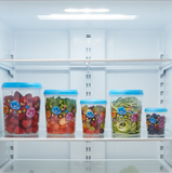 Plastic Transparent Container Air Tight Dabba Set (3000ml, 2000ml, 1000ml, 750ml, 500ml)